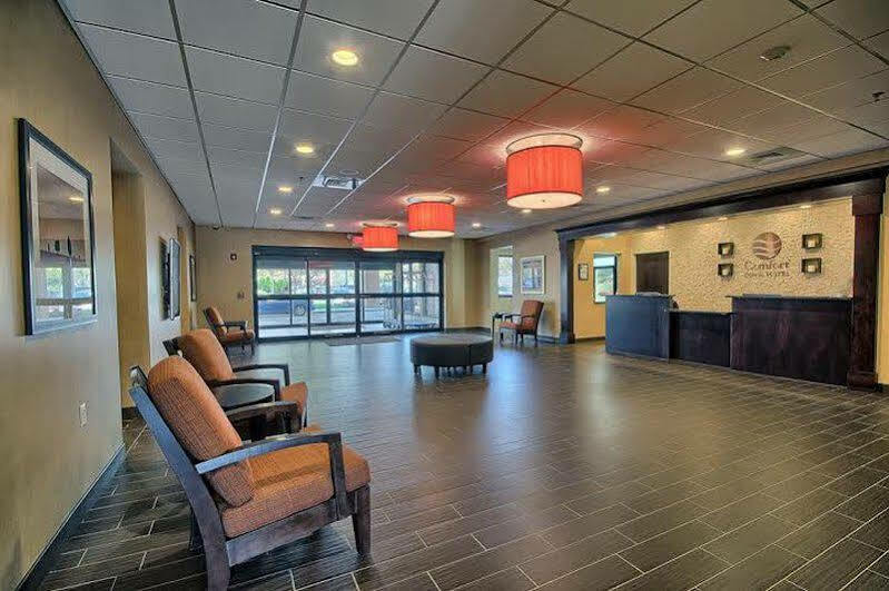 Comfort Inn & Suites Wadsworth Buitenkant foto